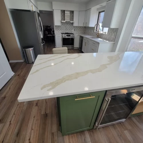 Painting & Remodeling (10)